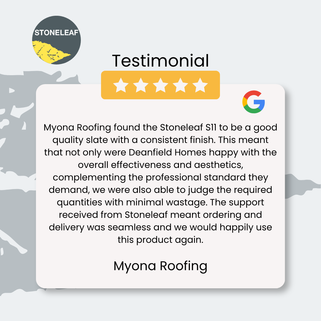 Google Review 6